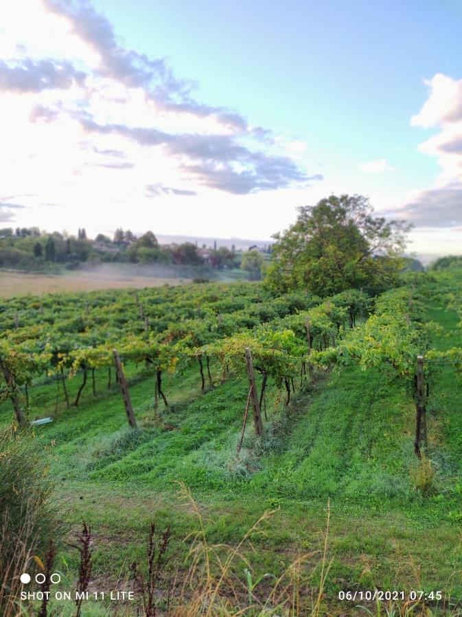 Agriturismo Al Dugale Lazise Exteriér fotografie