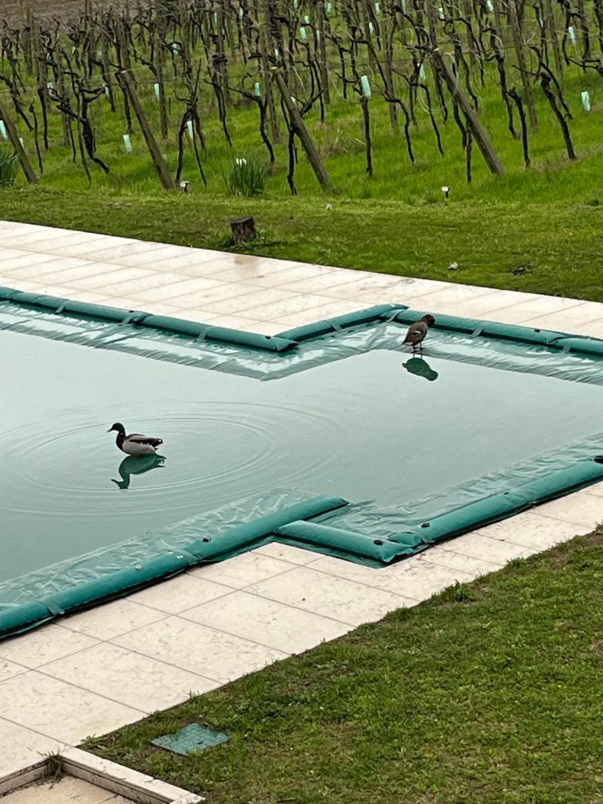 Agriturismo Al Dugale Lazise Exteriér fotografie